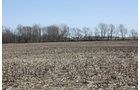 Property photo 1 - 200+/- Acre Land Auction in Gibson County, Indiana